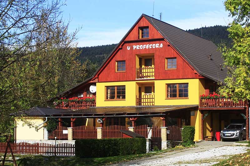 Chata U Profesora